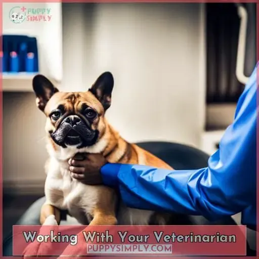 Working With Your Veterinarian