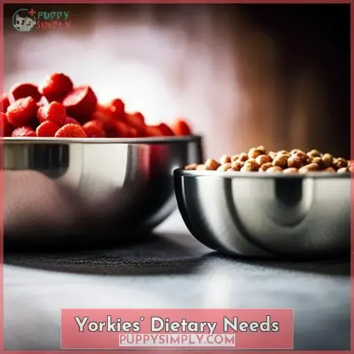 Yorkies’ Dietary Needs