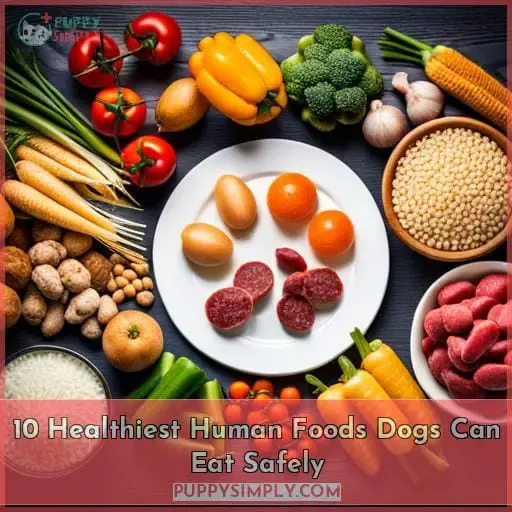 10 human foods for dogs