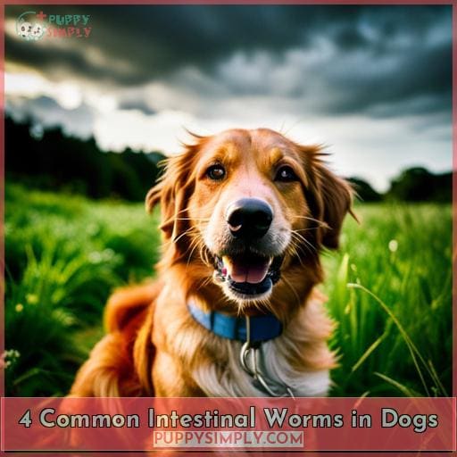 4 Common Intestinal Worms in Dogs