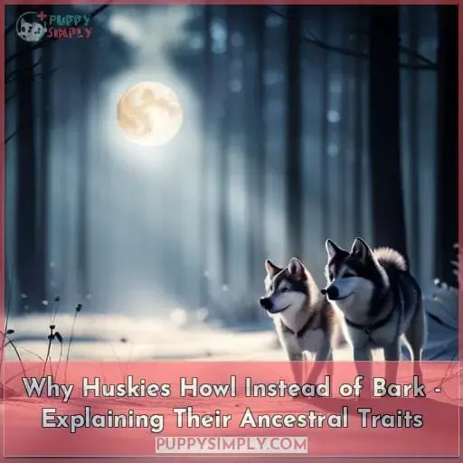 7 reasons why huskies howl instead of bark
