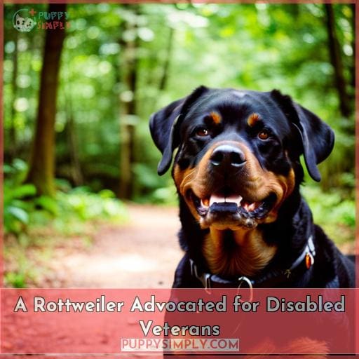 A Rottweiler Advocated for Disabled Veterans