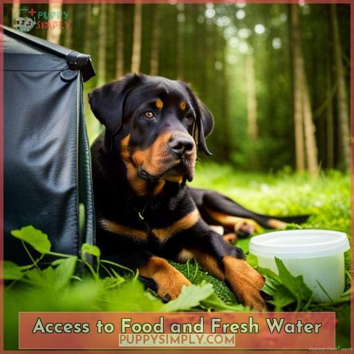 Access to Food and Fresh Water