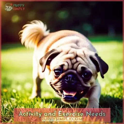 Activity and Exercise Needs