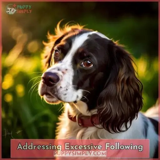 Addressing Excessive Following