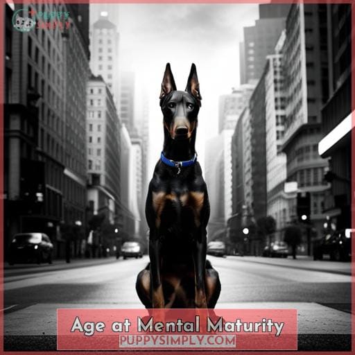 Age at Mental Maturity