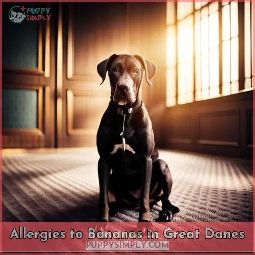 Allergies to Bananas in Great Danes