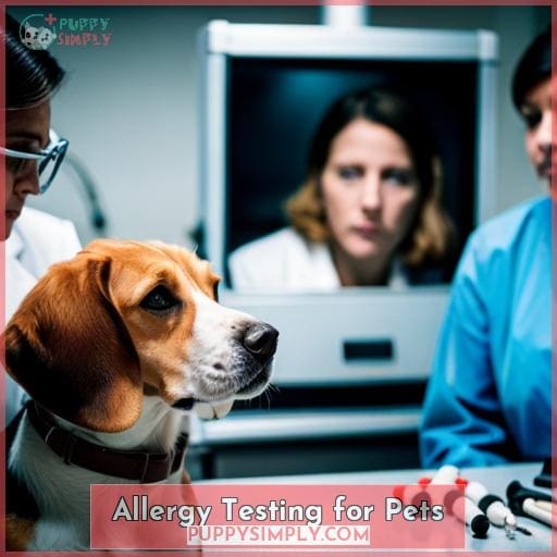 Allergy Testing for Pets