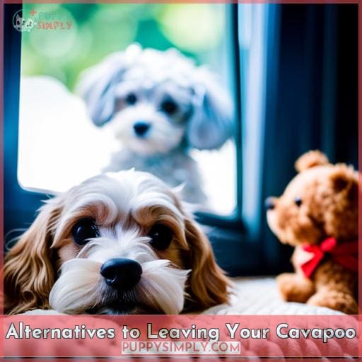Alternatives to Leaving Your Cavapoo