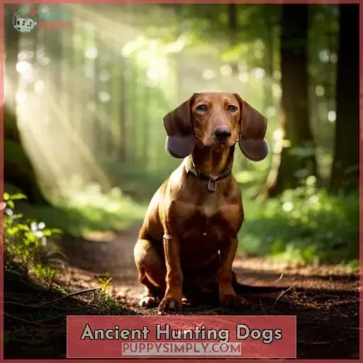 Ancient Hunting Dogs