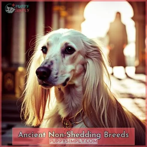 Ancient Non-Shedding Breeds
