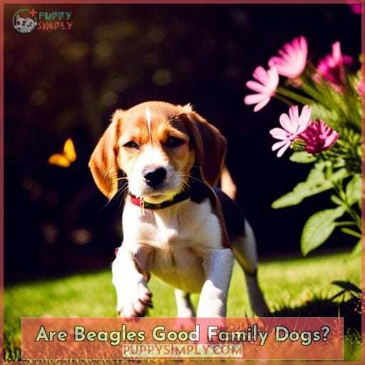 Are Beagles Good Family Dogs
