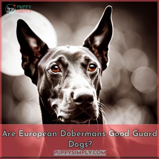 Are European Dobermans Good Guard Dogs