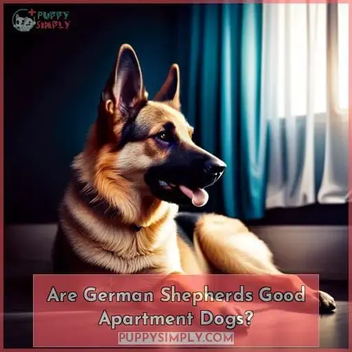 Are German Shepherds Good Apartment Dogs