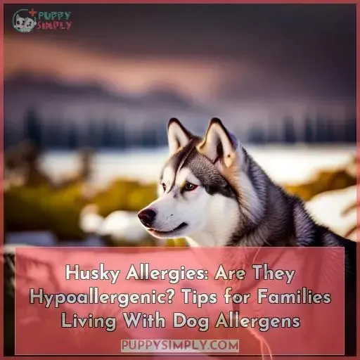 are huskies hypoallergenic tips for families with allergies