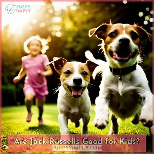 Are Jack Russells Good for Kids