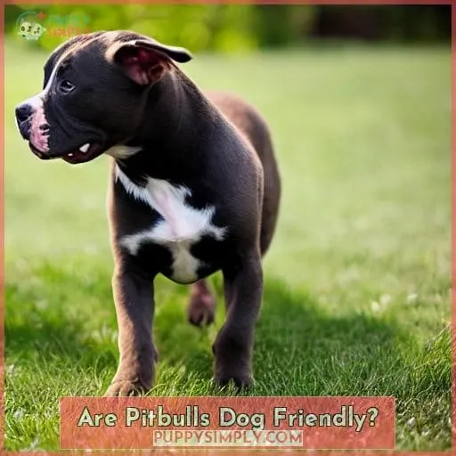 Are Pitbulls Dog Friendly