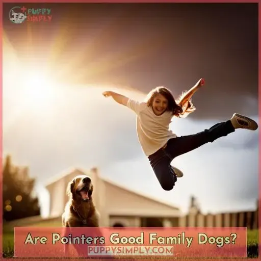 Are Pointers Good Family Dogs