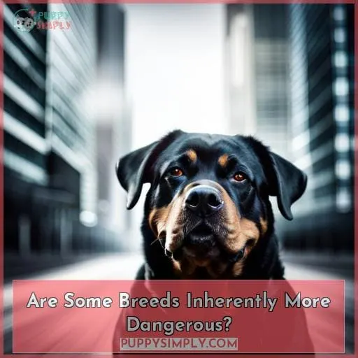 Are Some Breeds Inherently More Dangerous