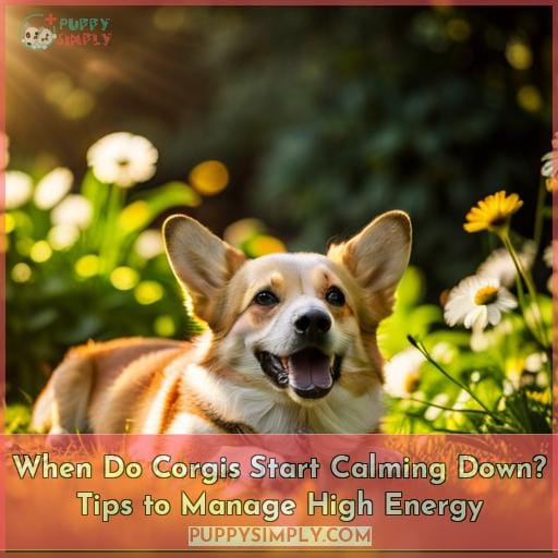 When Do Start Calming Down? Tips to Manage High Energy