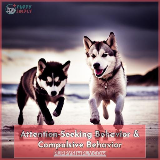 Attention-Seeking Behavior & Compulsive Behavior