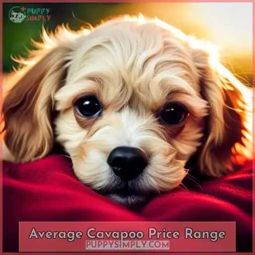 Average Cavapoo Price Range