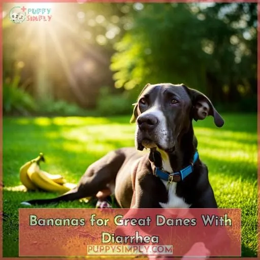 Bananas for Great Danes With Diarrhea