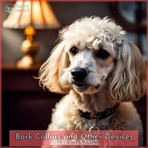 Bark Collars and Other Devices