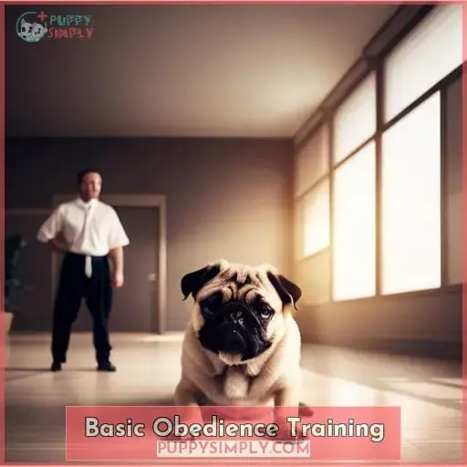 Basic Obedience Training
