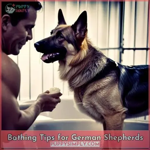 Bathing Tips for German Shepherds