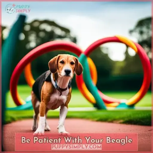 Be Patient With Your Beagle