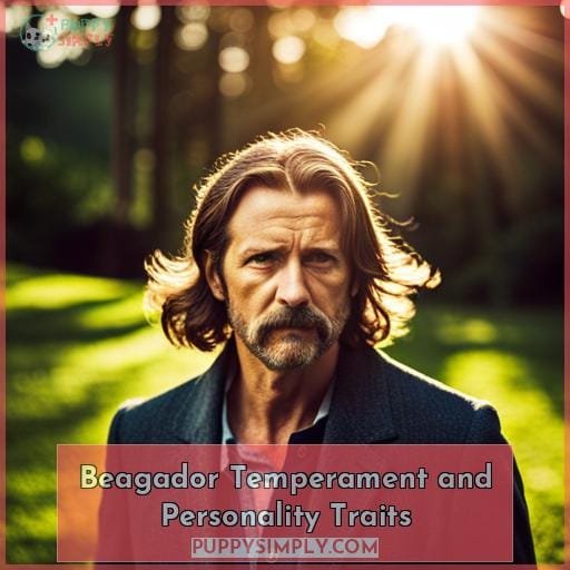 Beagador Temperament and Personality Traits