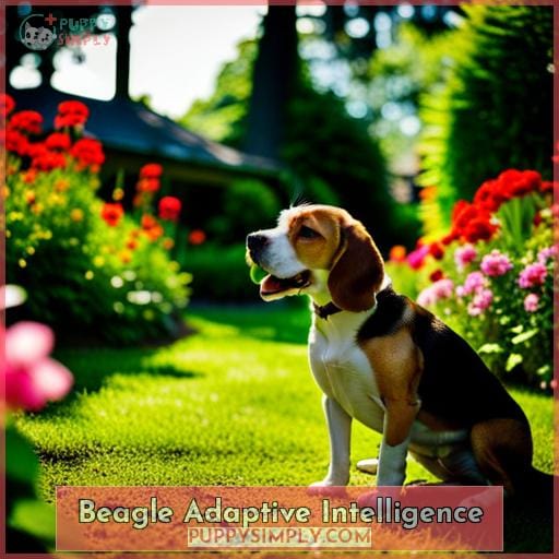 Beagle Adaptive Intelligence