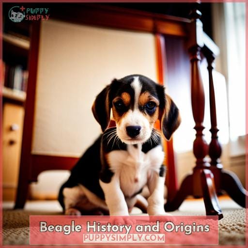 Beagle History and Origins