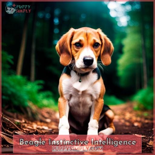 Beagle Instinctive Intelligence