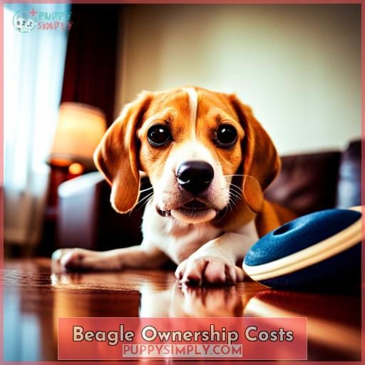 Beagle Ownership Costs