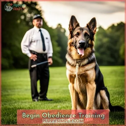 Begin Obedience Training