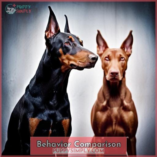 Behavior Comparison