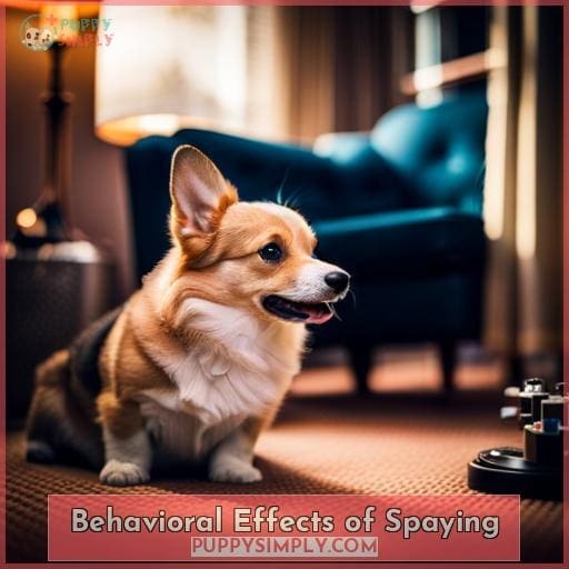 Behavioral Effects of Spaying Behavioral Effects of Spaying