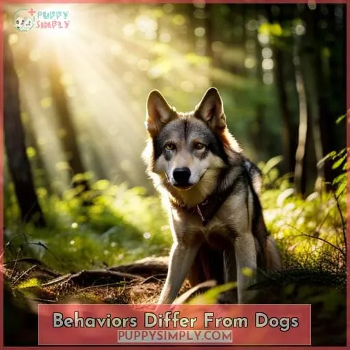 Behaviors Differ From Dogs