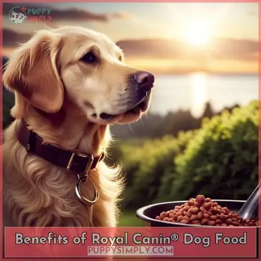 Benefits of Royal Canin® Dog Food