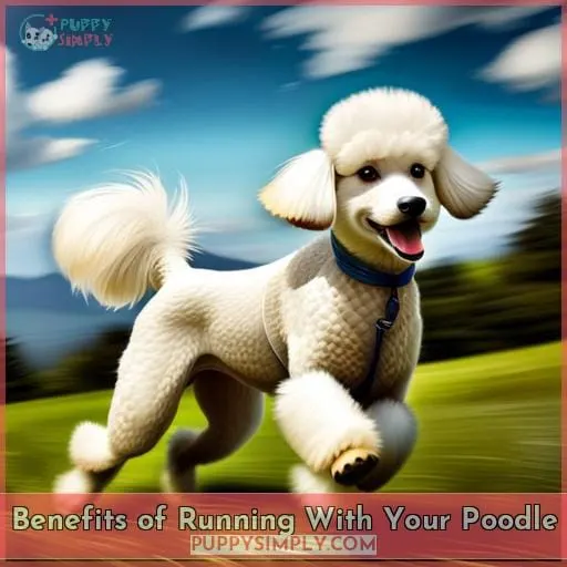 Benefits of Running With Your Poodle