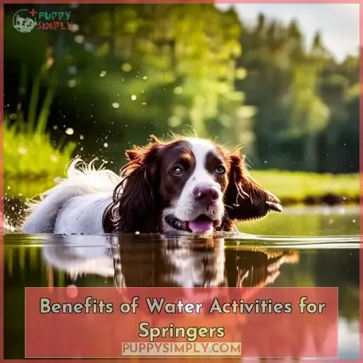 Benefits of Water Activities for Springers