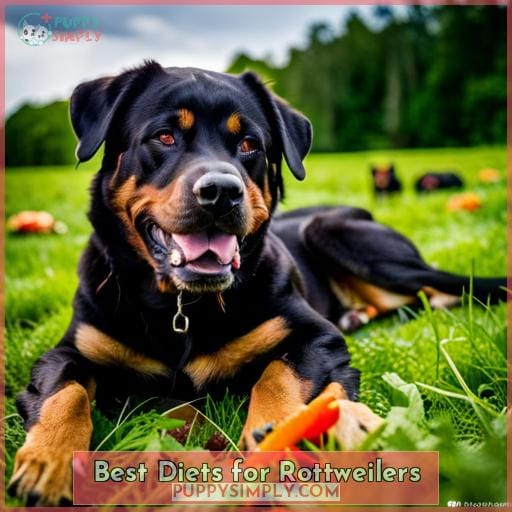 Best Diets for Rottweilers