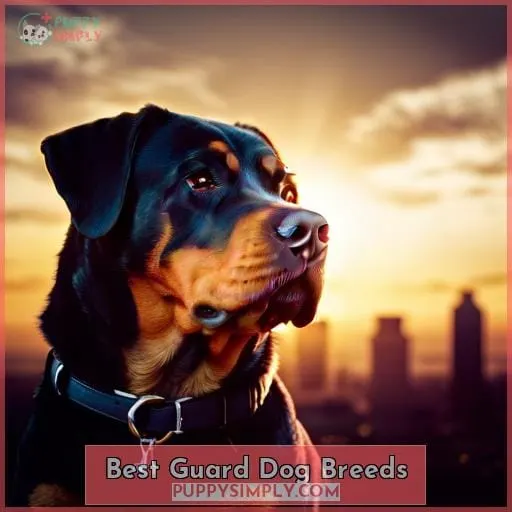 Best Guard Dog Breeds