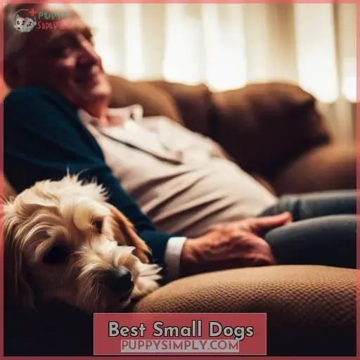Best Small Dogs