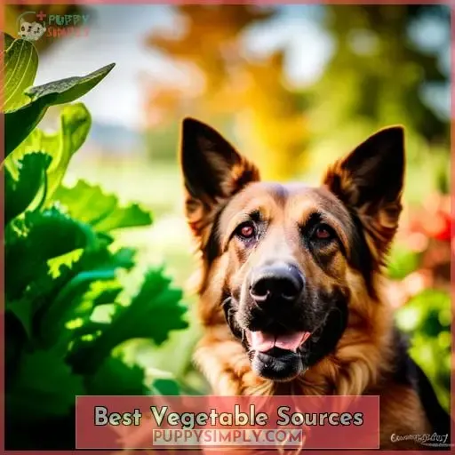 Best Vegetable Sources