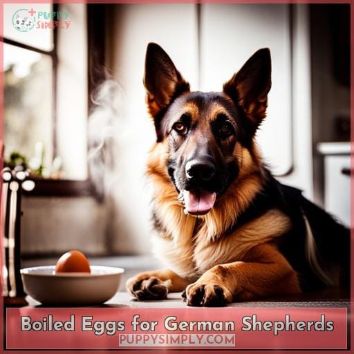 Boiled Eggs for German Shepherds