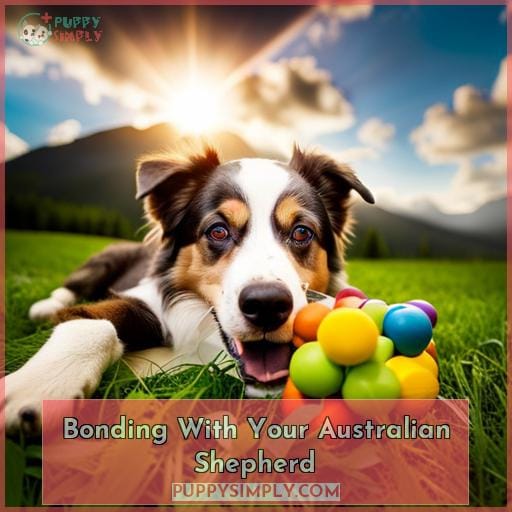 Bonding With Your Australian Shepherd