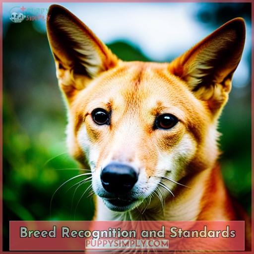 Breed Recognition and Standards